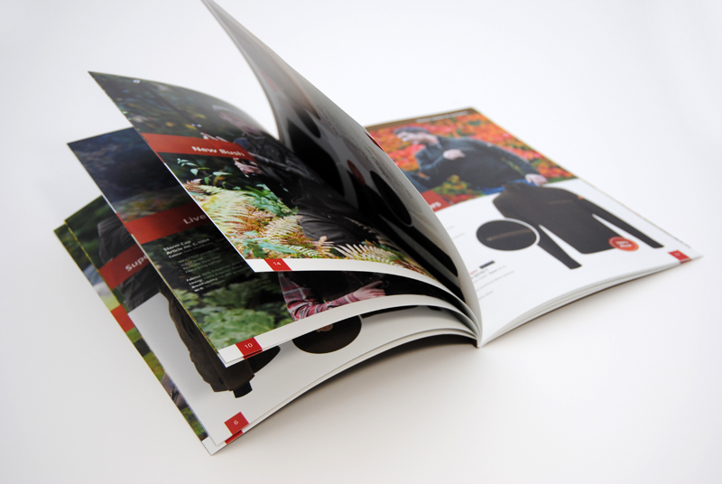 In Catalogue Binh Duong 6