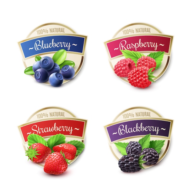 Free vector berry labels set