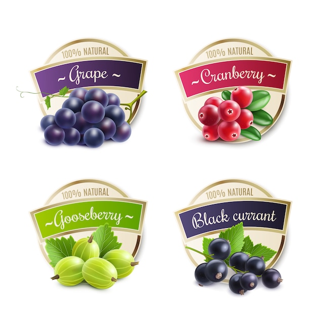 Free vector organic berries labels collection